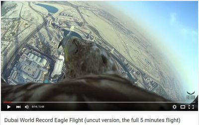 Dubai World Record Eagle Flight.jpg